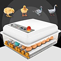 InLoveArts Incubadora de 16 Huevos Nacedora automática Digital con Control de Temperatura-Giro automático para incubar…